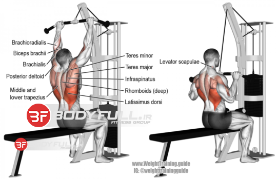 حرکت لت Overhead pulldown