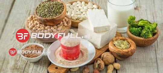 غذاهای برجسته پروتئینی
