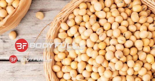 5 نکته در مورد سویا که باید بدانید