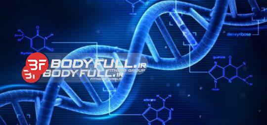 DNA و بدن