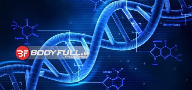 DNA و بدن