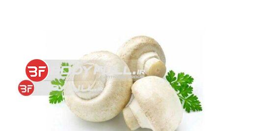 مصرف قارچ در تغذیه بدنسازی