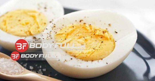 همه چیز درباره تولید پودر سفیده تخم مرغ آلبومین