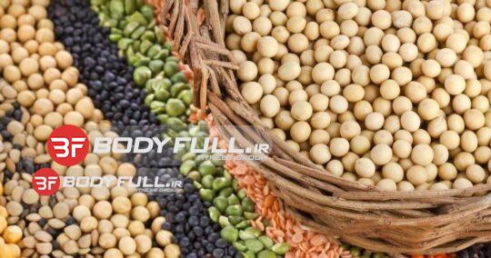 آگاهی از خواص مهمترین نتایج پروتئین گیاهی