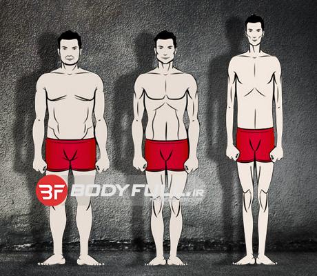تیپ بدنی یا body-type
