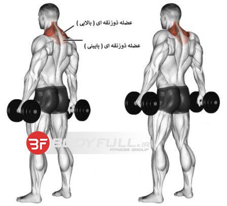 حرکت قدرتی پشت گرد
